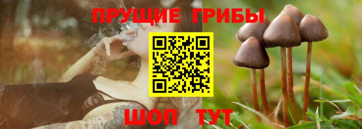 Галлюциногенные грибы мухоморы  Вход с VPN  Псилоцибиновые грибы Magic Shrooms  Свободный 